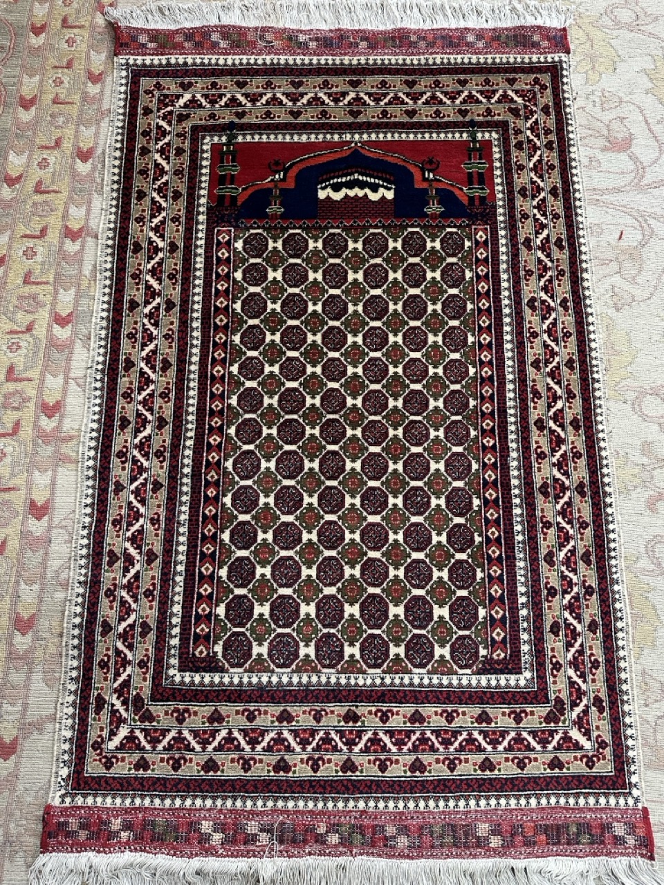 BUHARA - SECCADE *15